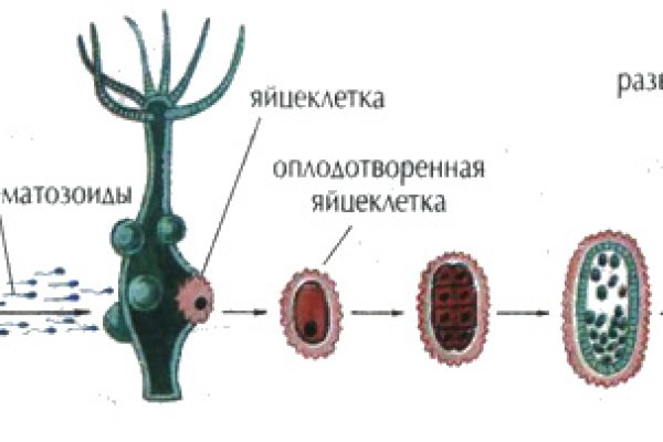 Сайт мега дарк нет